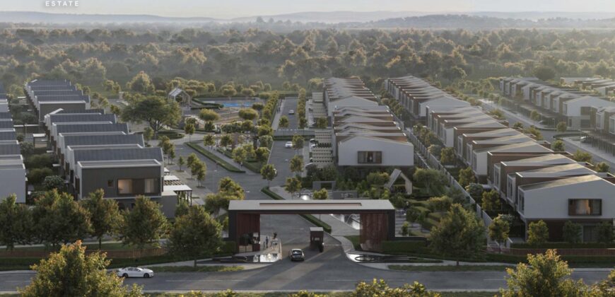 SOL ESTATE